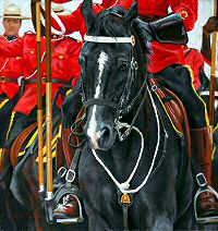 Click to view larger