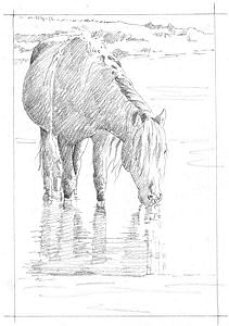 Click to view larger