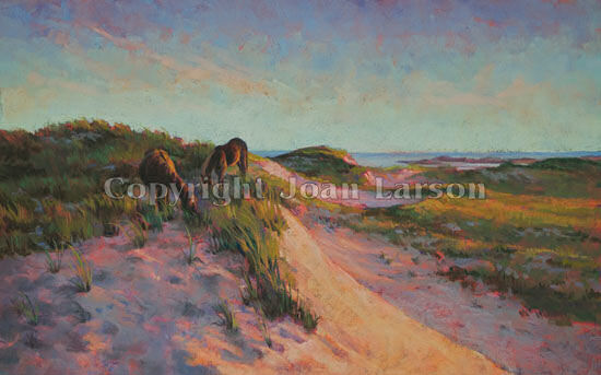 Sable Island #15 Sunset on the Dunes